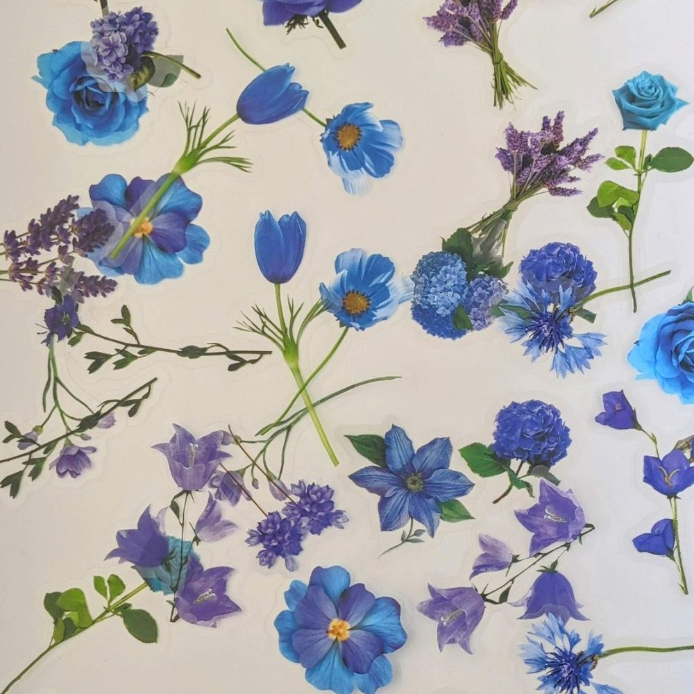 Pack 40 pcs stickers mix transparent flower and plants nature d…